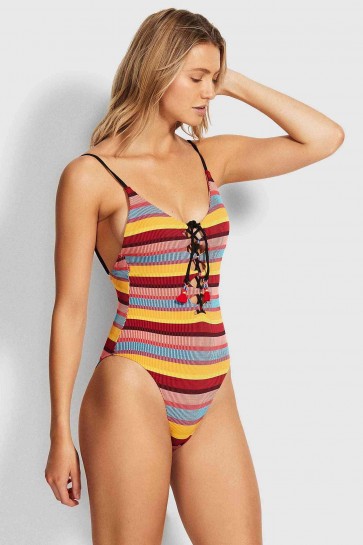 Baja Stripe V Neck One Piece by Seafolly 