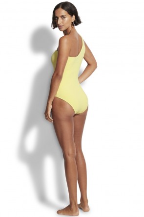Sea Dive One Sholder Swimsuit Seafolly